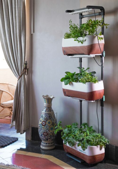 DIY Vertical Gardens