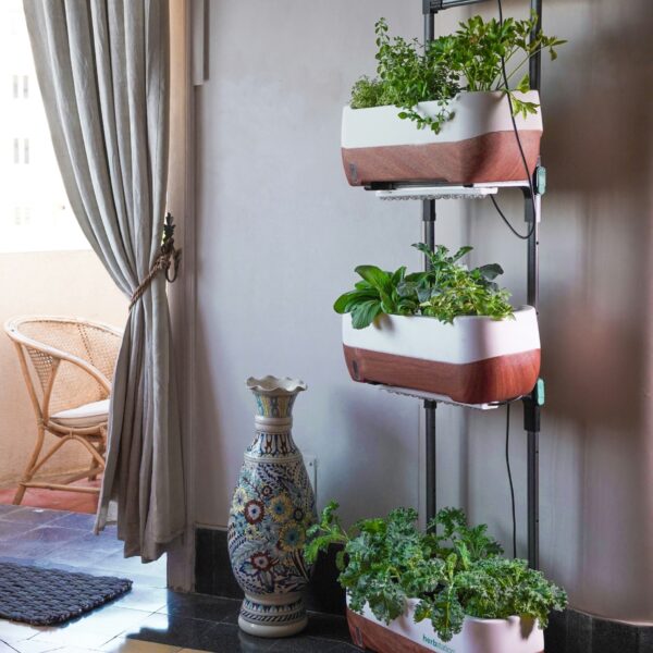 How To Craft DIY Vertical Gardens: Top Ideas and Techniques for Small Spaces